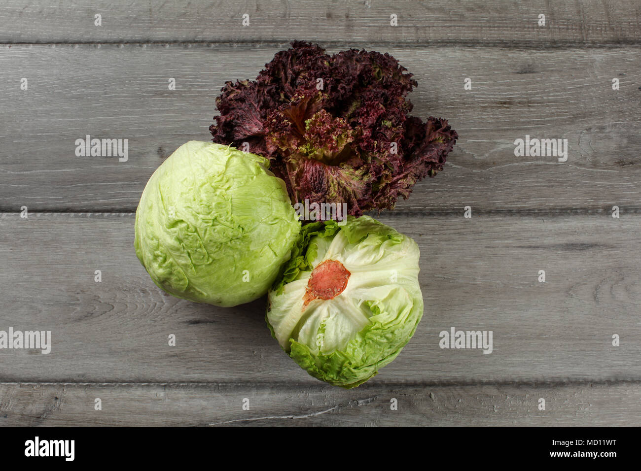 Draufsicht auf Eisberg Salat und Lollo Rosso (rote Koralle Salat) auf grau Holzschreibtisch. Stockfoto