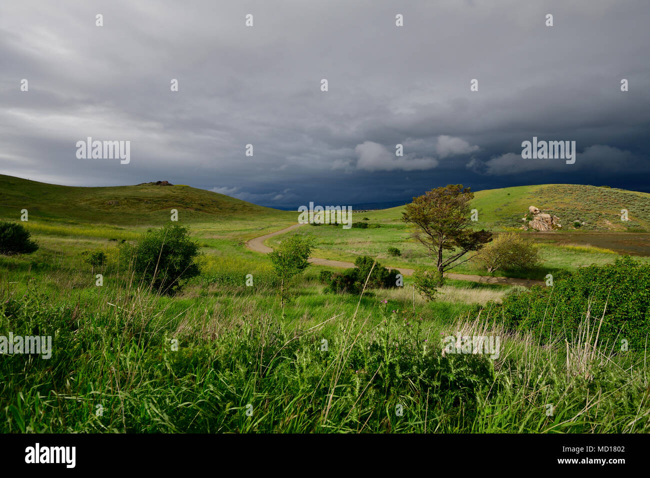 Querformat von Coyote Hill Regional Park, Fremont Stockfoto