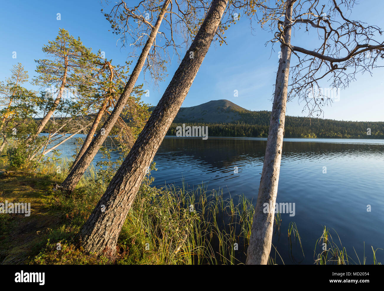 See Kesänkijärvi in Kolari, Lappland, Finnland. Stockfoto