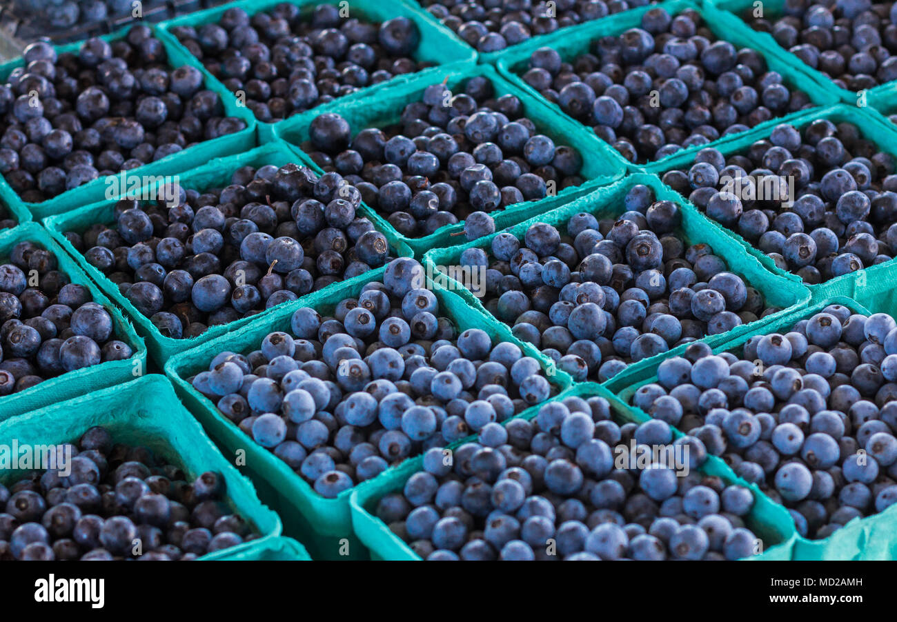 Frische Blaubeeren zu produzieren. Stockfoto