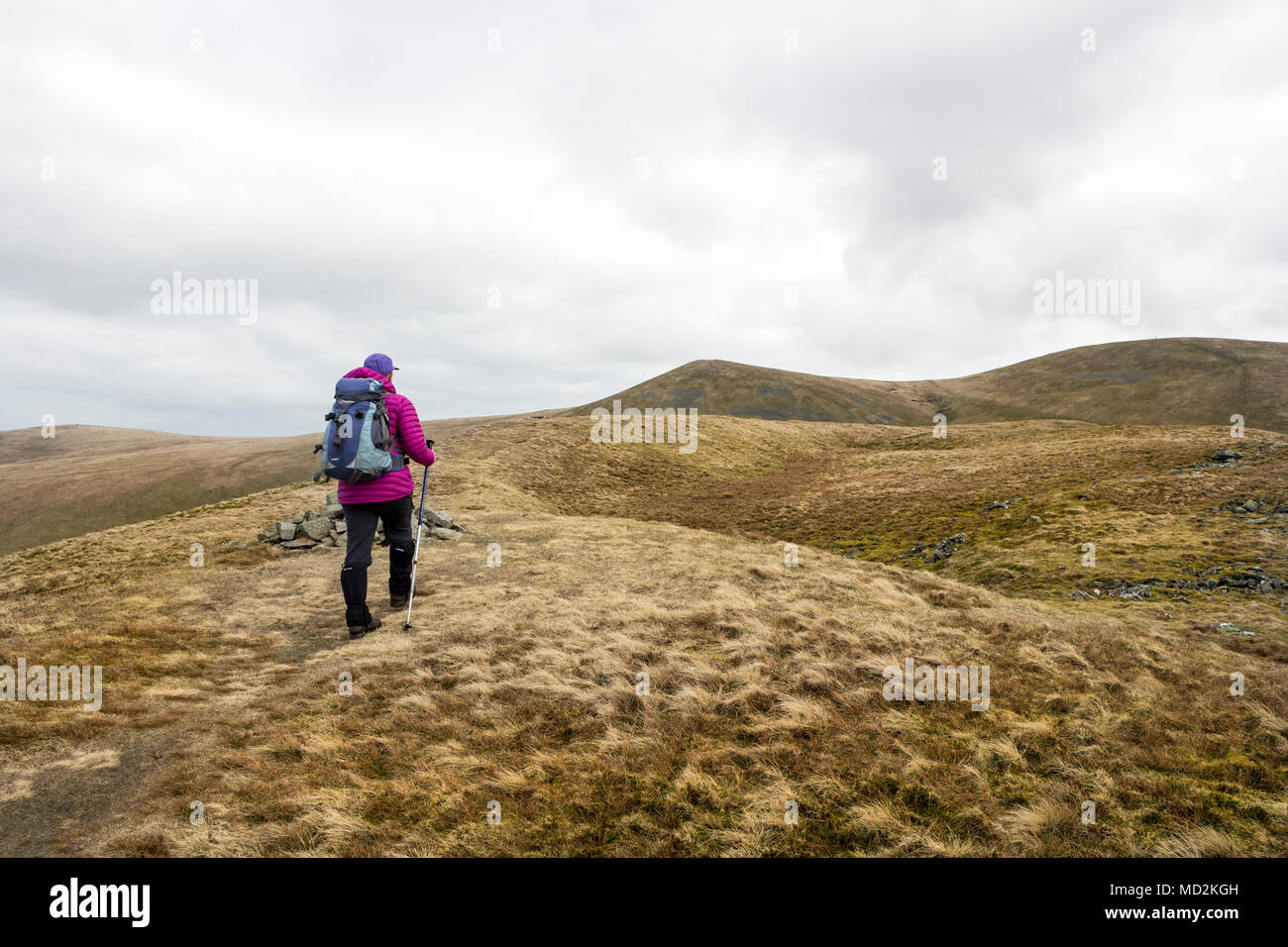 Walker nähert sich der Gipfel von Essen fiel, mit großer Sca fiel vor, uldale Fells, Lake District, Cumbria, Großbritannien Stockfoto