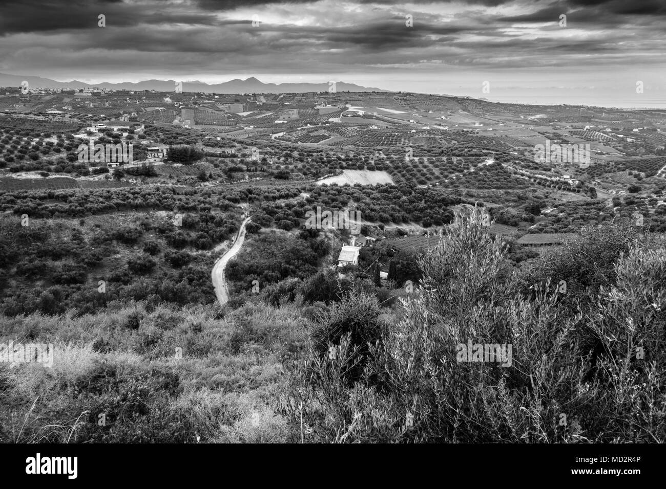 Hohe Betrachtungswinkel von Anbauflächen aus der Ferne, Griechenland Stockfoto