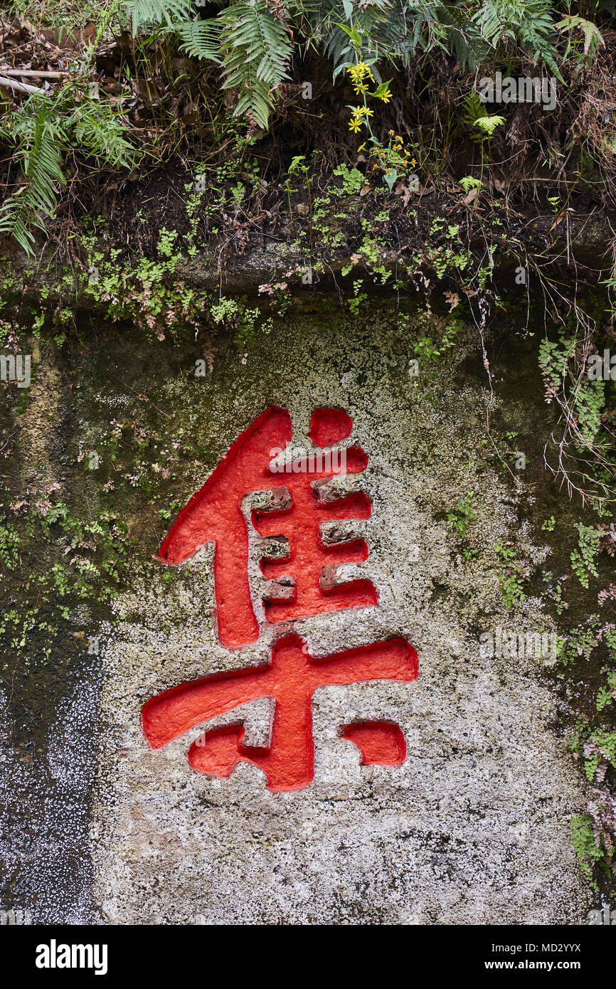 China, Provinz Sichuan, Emei Berg, Leshan, Giant Buddha Ort, chinesische Kalligraphie Stockfoto