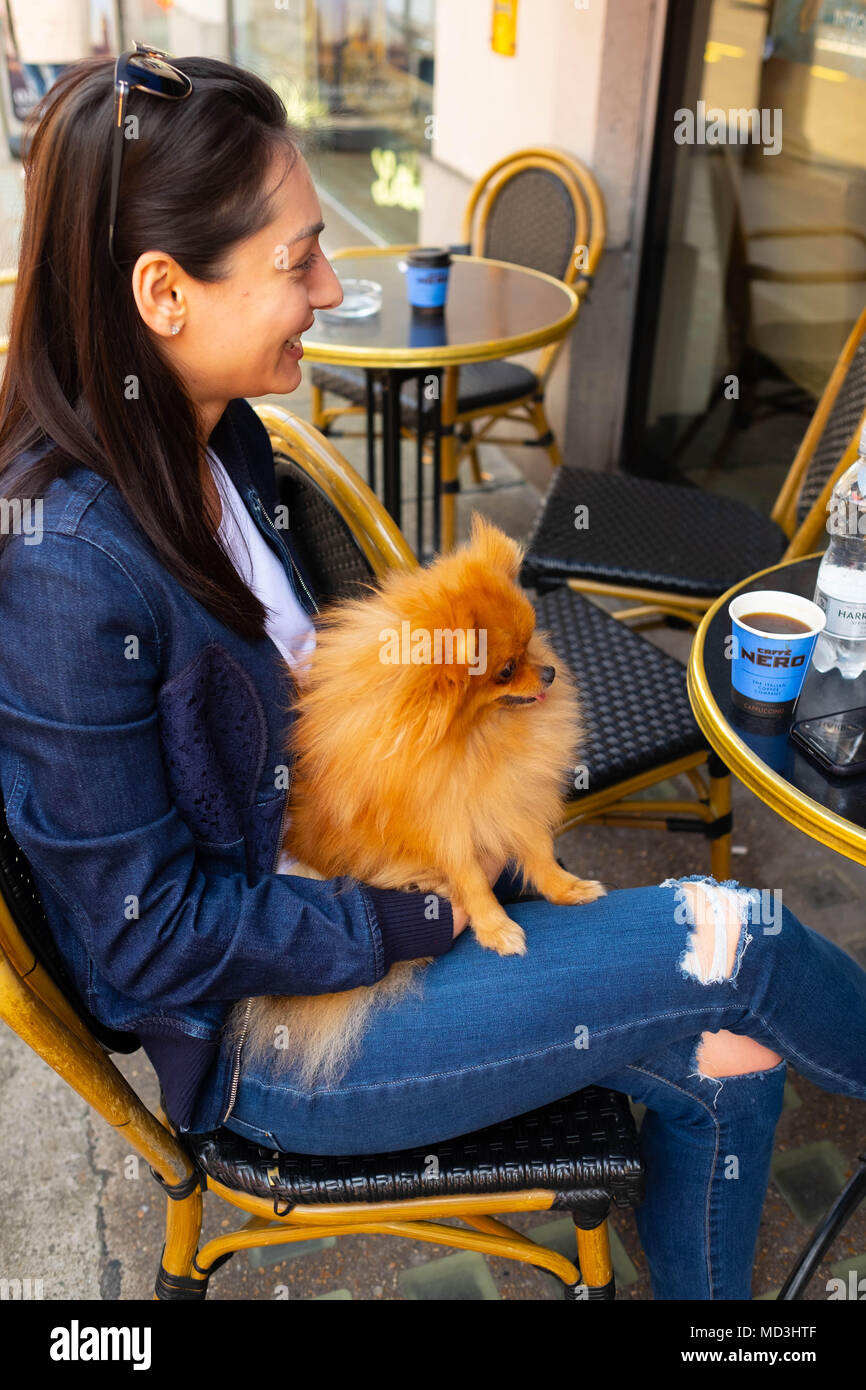 London, Großbritannien. 18. April 2018. UK Wetter: heißesten Tag in London dieses Jahr Mittwoch, den 18. April 2018 eine junge Frau und ihre pomeranian Hund einen Kaffee genießen. Quelle: Tim Ring/Alamy leben Nachrichten Stockfoto