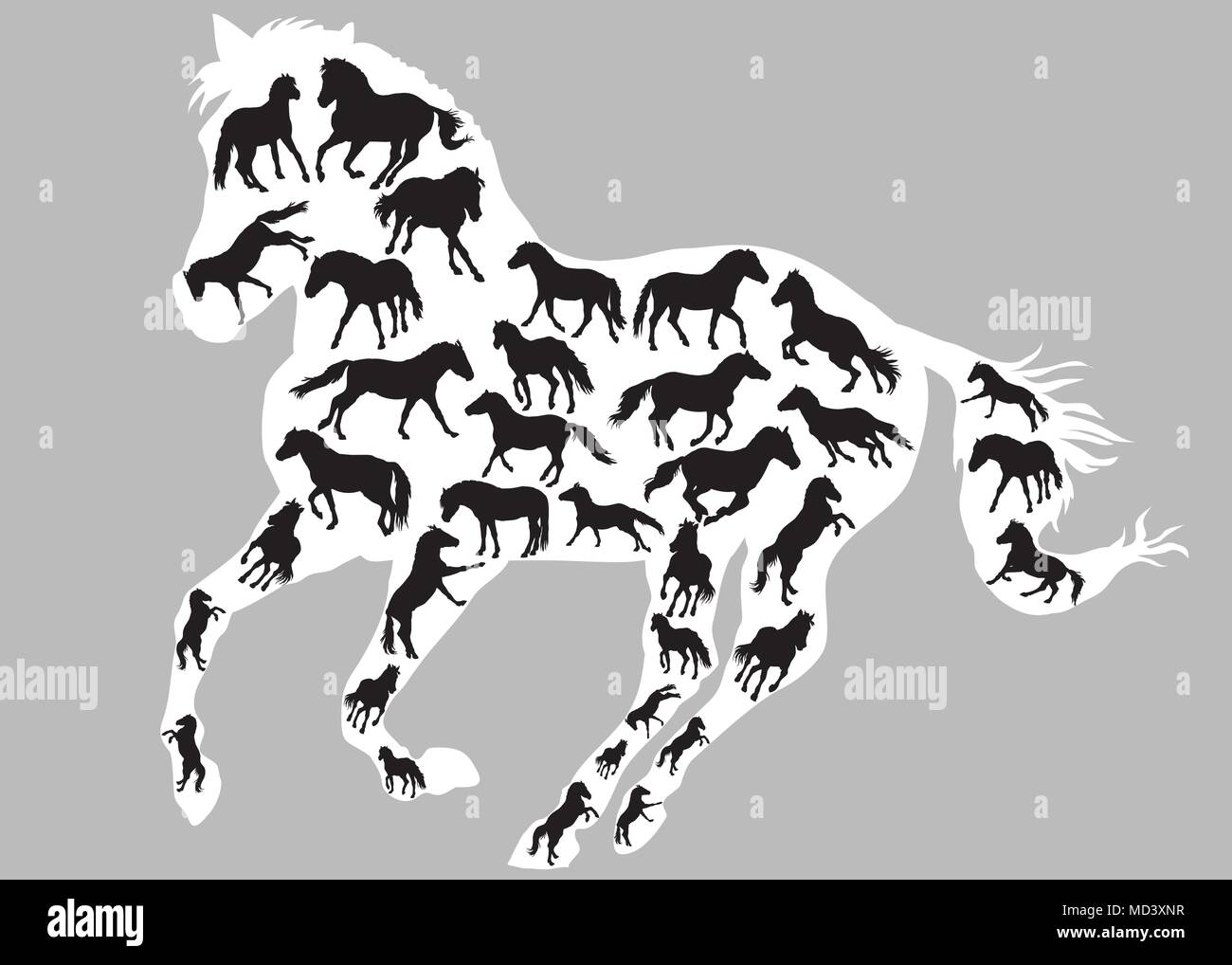 Satz von verschiedenen isolierten Pferde Silhouetten (stehend, Trab und Galopp) in der Farbe Schwarz im grossen Galopp Silhouette von Pferd in Weiß colo Stock Vektor