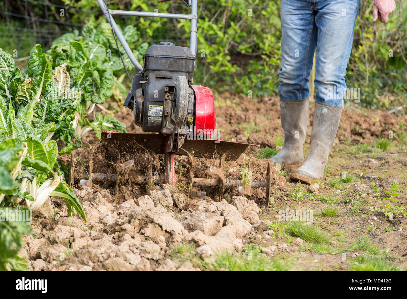 Senior Landwirt Gärtner im Garten arbeitet mit rototiller, Deichsel