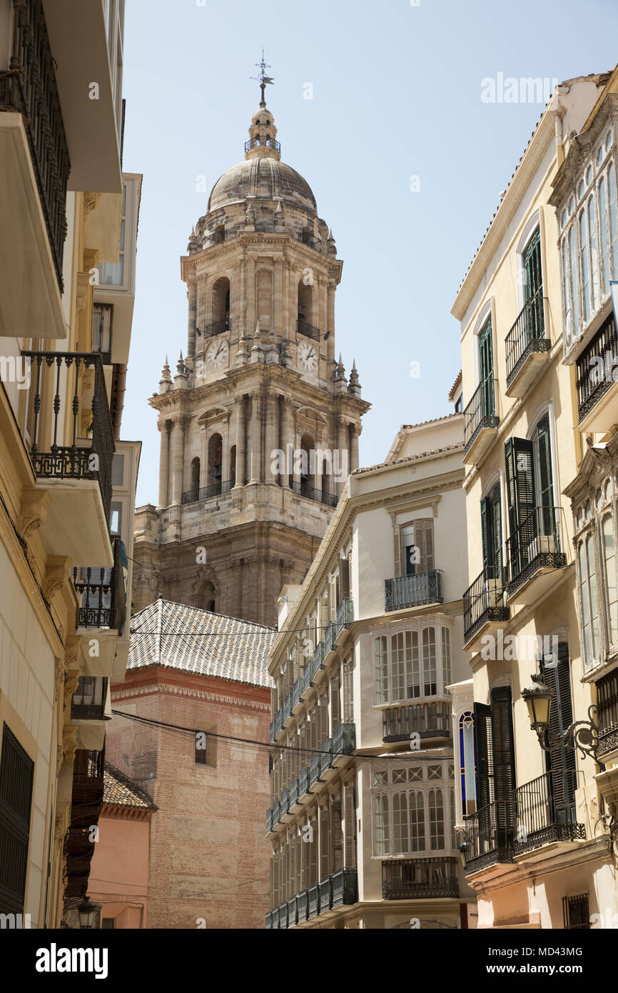 Turm der Catedral de La Encarnacion de Malaga zwischen engen Gassen der Altstadt, Malaga, Costa del Sol, Andalusien, Spanien, Europa Stockfoto