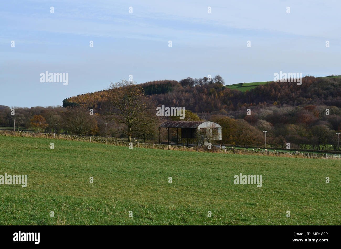 Nidderdale Tal in der Nähe von Darley Stockfoto