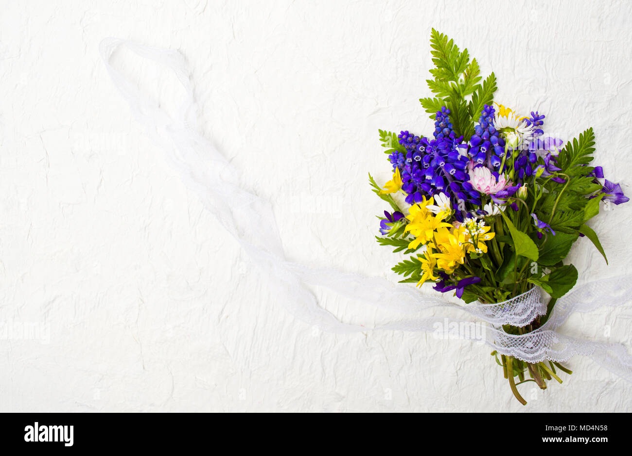 Bunte Frühlingsblumen mit Copy space Top View Stockfoto