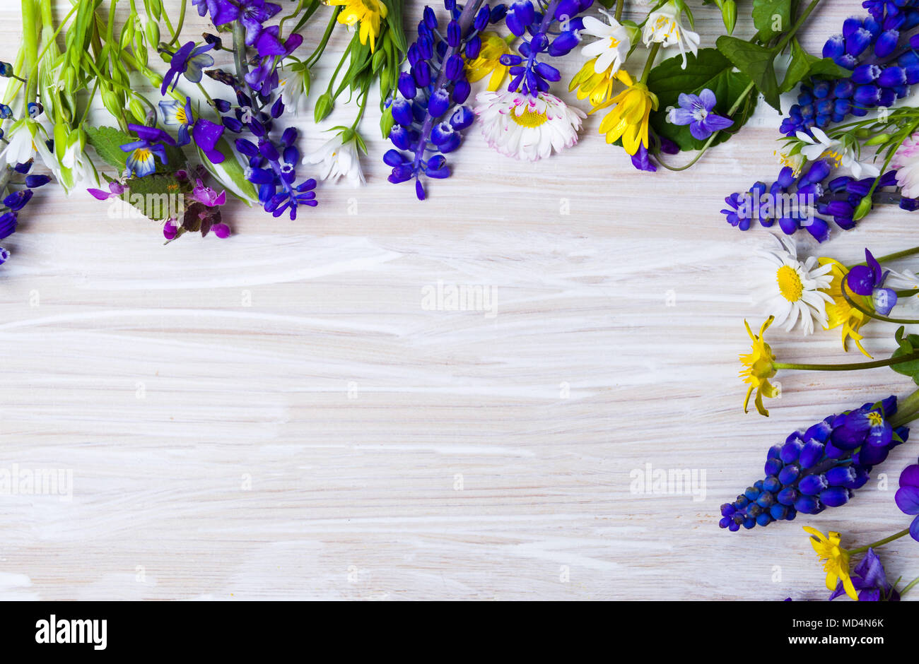 Bunte Frühlingsblumen mit Copy space Top View Stockfoto