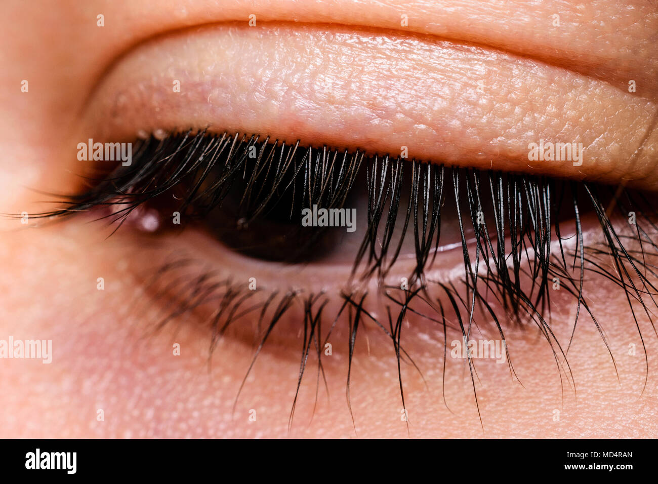 Nahaufnahme der Schönen Auge mit brauner Iris und Wimpern Wegschauen von Kamera und Unten Stockfoto