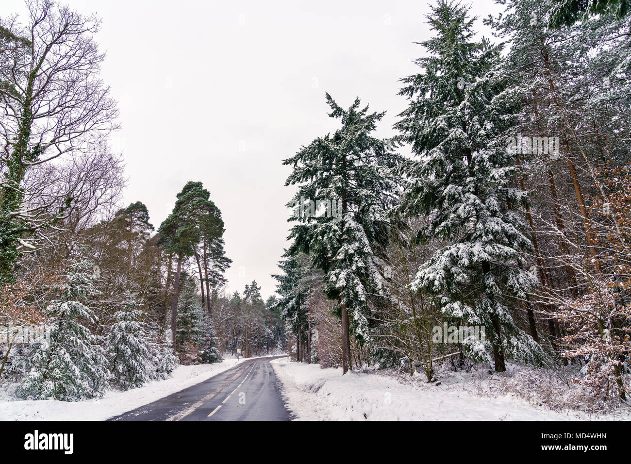 Straße in die Vogesen im Winter. Bas-Rhin in Frankreich Stockfoto