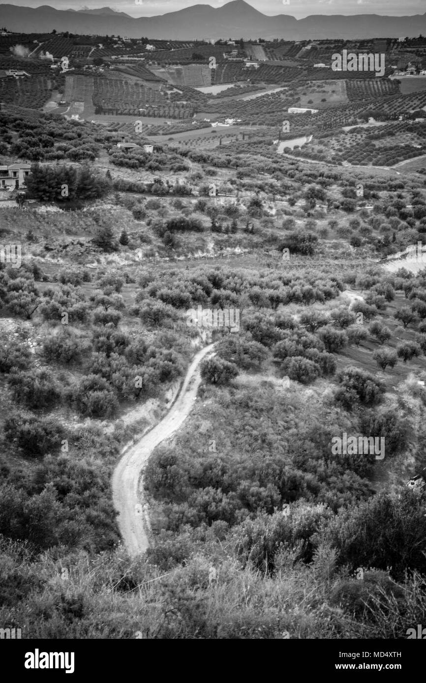 Hohe Betrachtungswinkel der Weg inmitten von Bauernhöfen, Griechenland Stockfoto