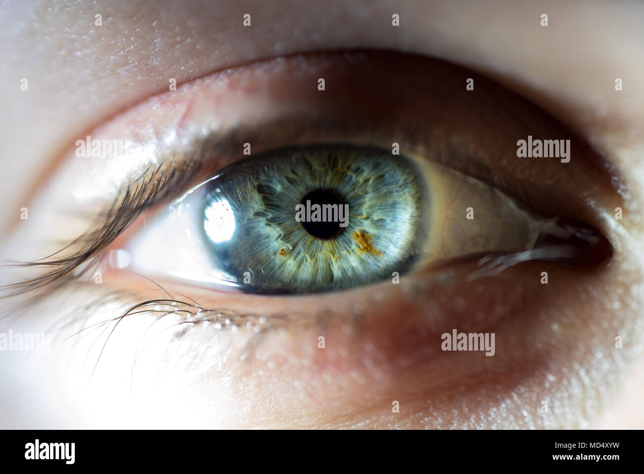 Extreme Nahaufnahme von Blue weibliche Auge Iris Stockfoto