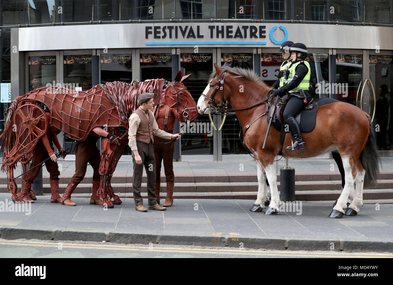 Joey Die Lebensgrosse Horse Marionette In Krieg Pferd Verwendet Werden Zusammen Mit Schauspieler Thomas Dennis Albert Spielt Trifft Echten Pferde Und Reiter Von Der Polizei Schottland Montiert Am Festival Theatre In Edinburgh