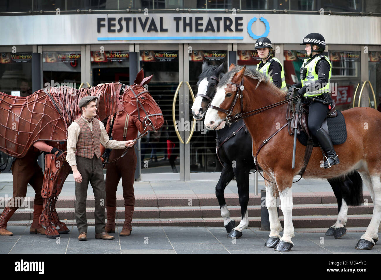 Joey, die lebensgroße Horse Marionette in Krieg Pferd verwendet werden zusammen mit Schauspieler Thomas Dennis, Albert spielt, trifft echten Pferde und Reiter von der Polizei Schottland montiert am Festival Theatre in Edinburgh. Stockfoto