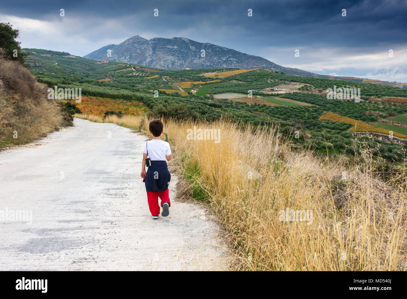 Rückansicht eines Jungen zu Fuß auf der Straße neben einem Bauernhof, Griechenland Stockfoto