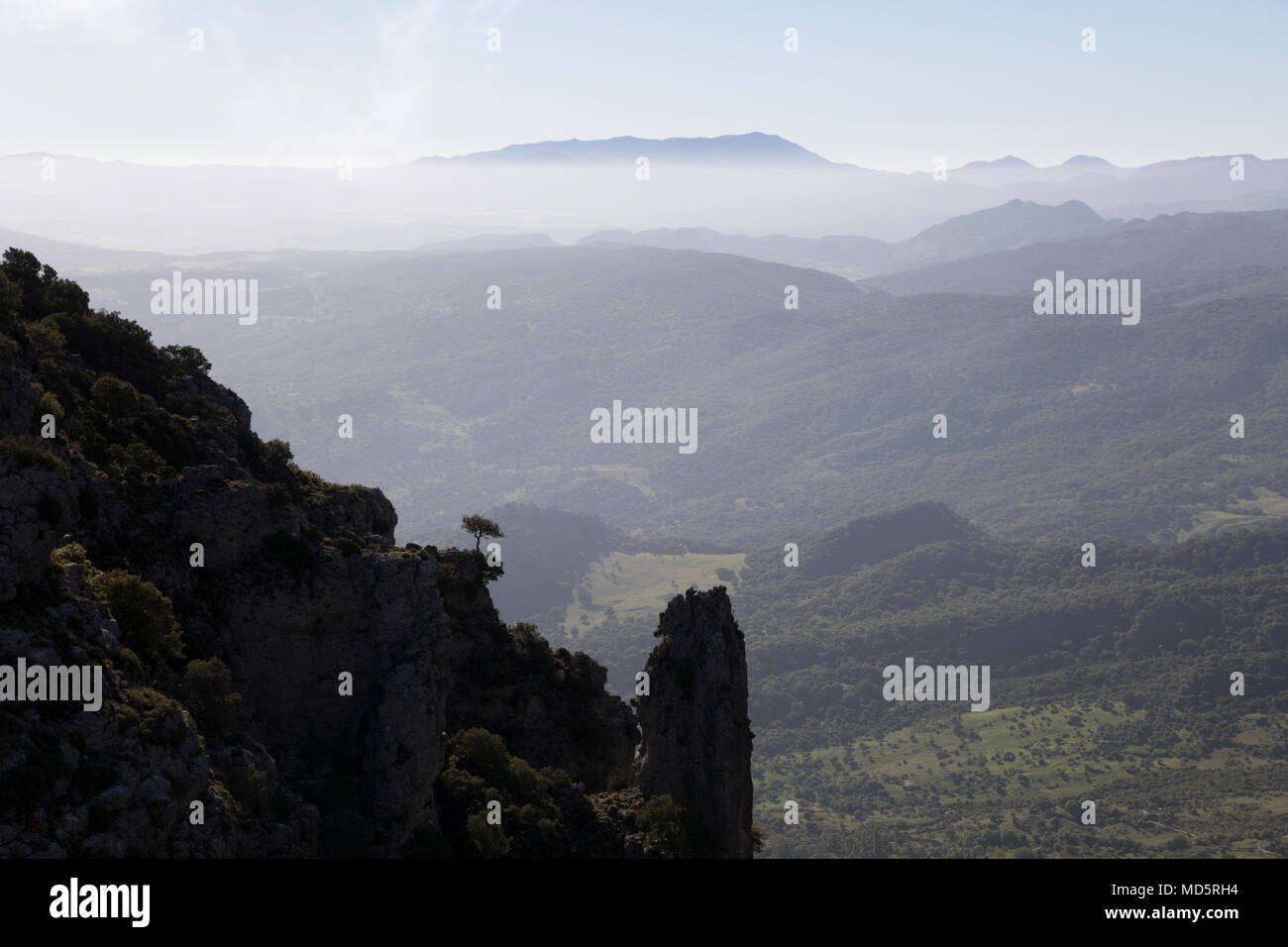La Aguja Rock vom Mirador del Puerto de las Palomas, Naturpark Sierra de Grazalema, Andalusien, Spanien, Europa, Sierra de Grazalema Naturpark Stockfoto