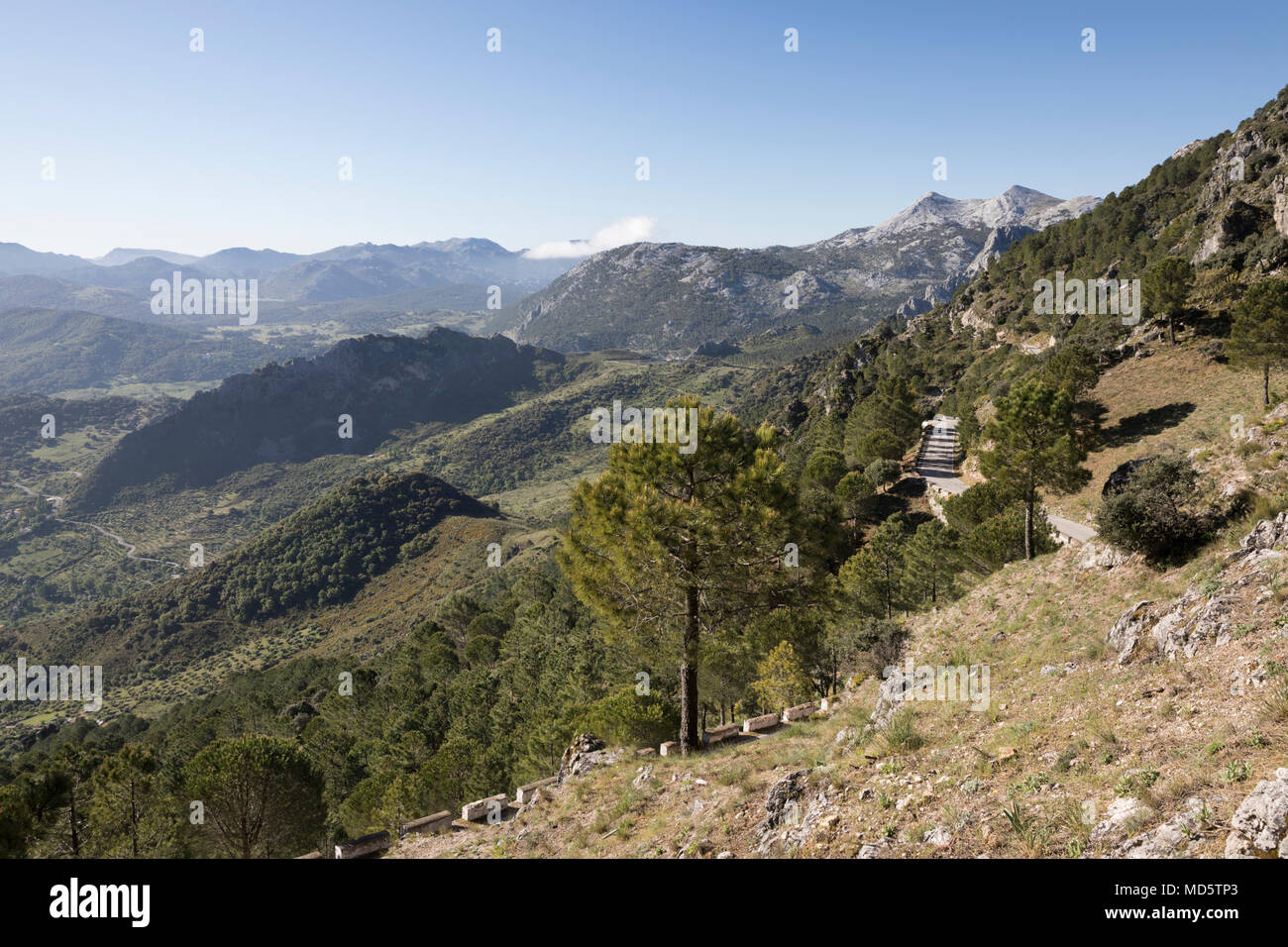 Die Gipfel von El Simancon und El Reloj mit der Sierra del Pinar Berge von Mirador del Puerto de las Palomas, Sierra de Grazalema Naturpark Stockfoto