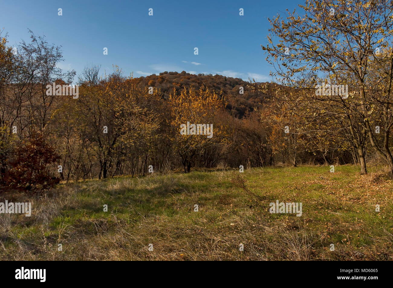 Ansicht der herbstlichen Natur mit trockenen Glade und Laubwald auf dem Balkan Mountain in der Nähe von Dorf Lokorsko, Bulgarien Stockfoto