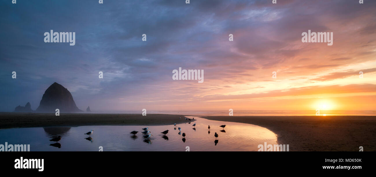 Cannon Beach bei Sonnenuntergang mit Haystack Rock, Bach und Paar mit Hund. Oregon Stockfoto