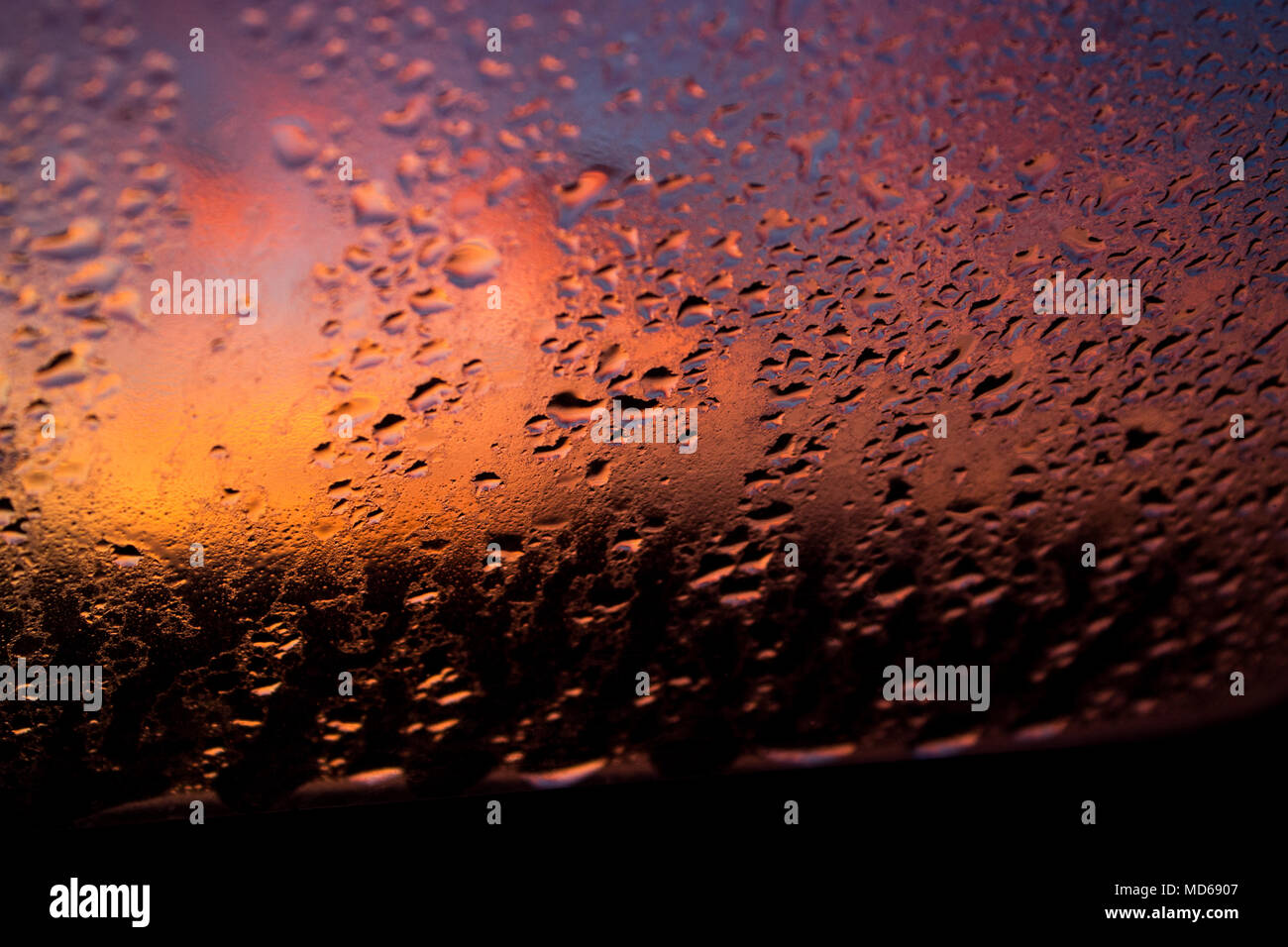 Wassertropfen auf Fenster mit Sonnenuntergang im Hintergrund Stockfoto