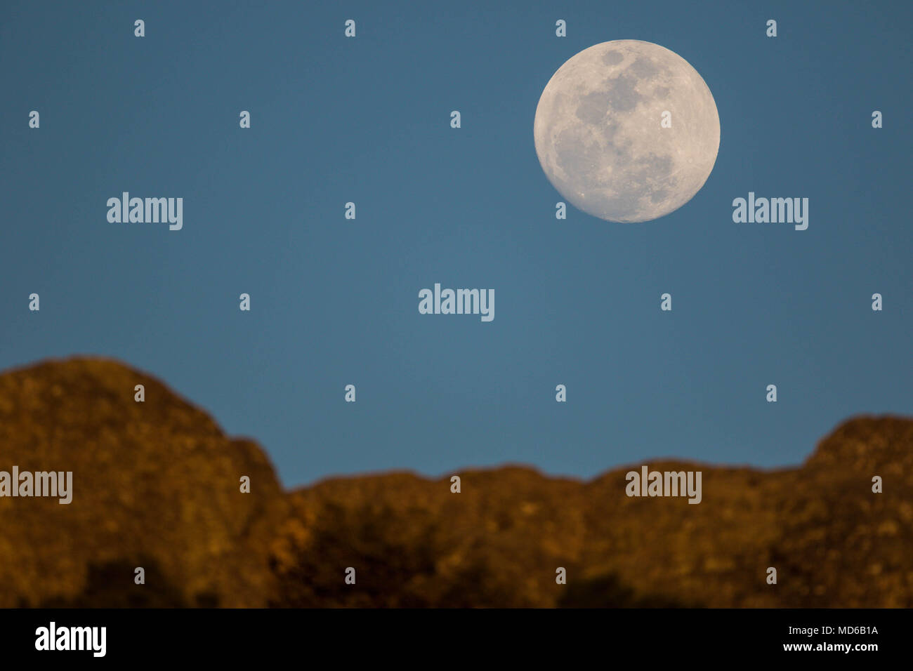 La Luna Llena De Febrero Conocida Como Luna De Nieve Pudo Vers
