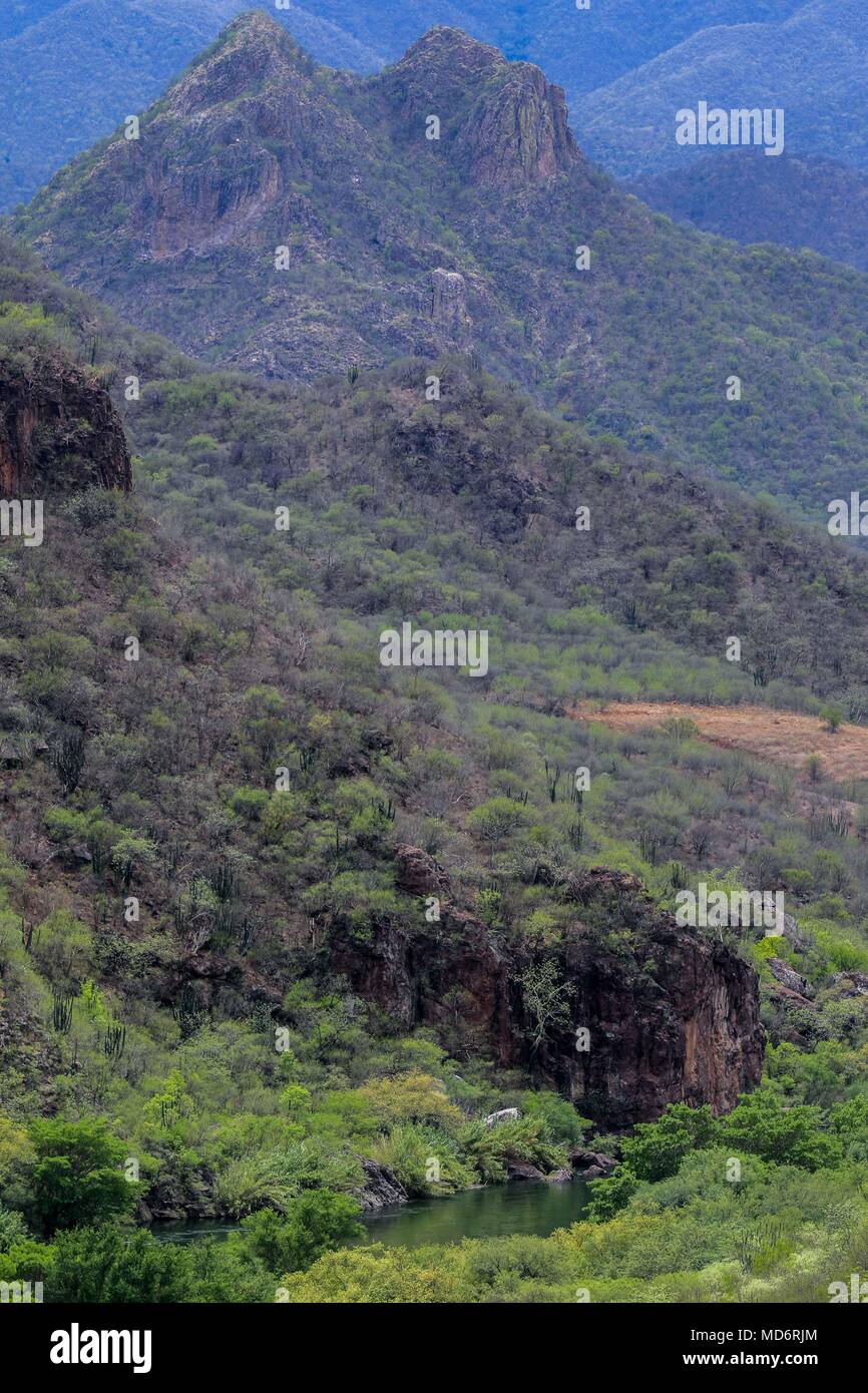 Rio Yaqui, in der Gemeinde von Soyopa., Sonora, Mexiko. ** © Foto: © LuisGutierrez/NortePhoto.com Rio Yaqui localizado en el municio de Sonora Mexiko. © Foto: © LuisGutierrez/NortePhoto.com Stockfoto