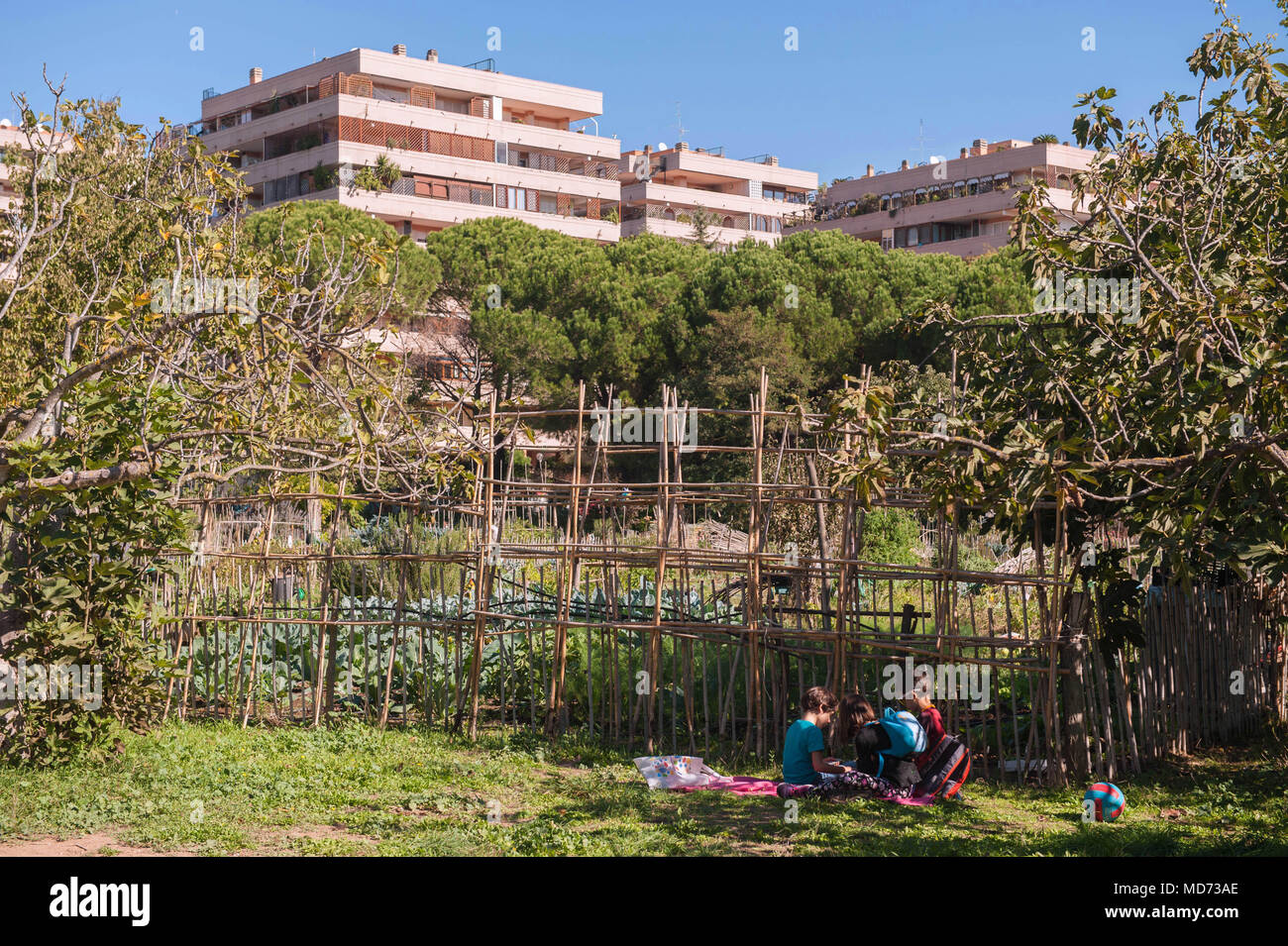 Rom. Urban Garden Tre Fontane. Italien. Stockfoto
