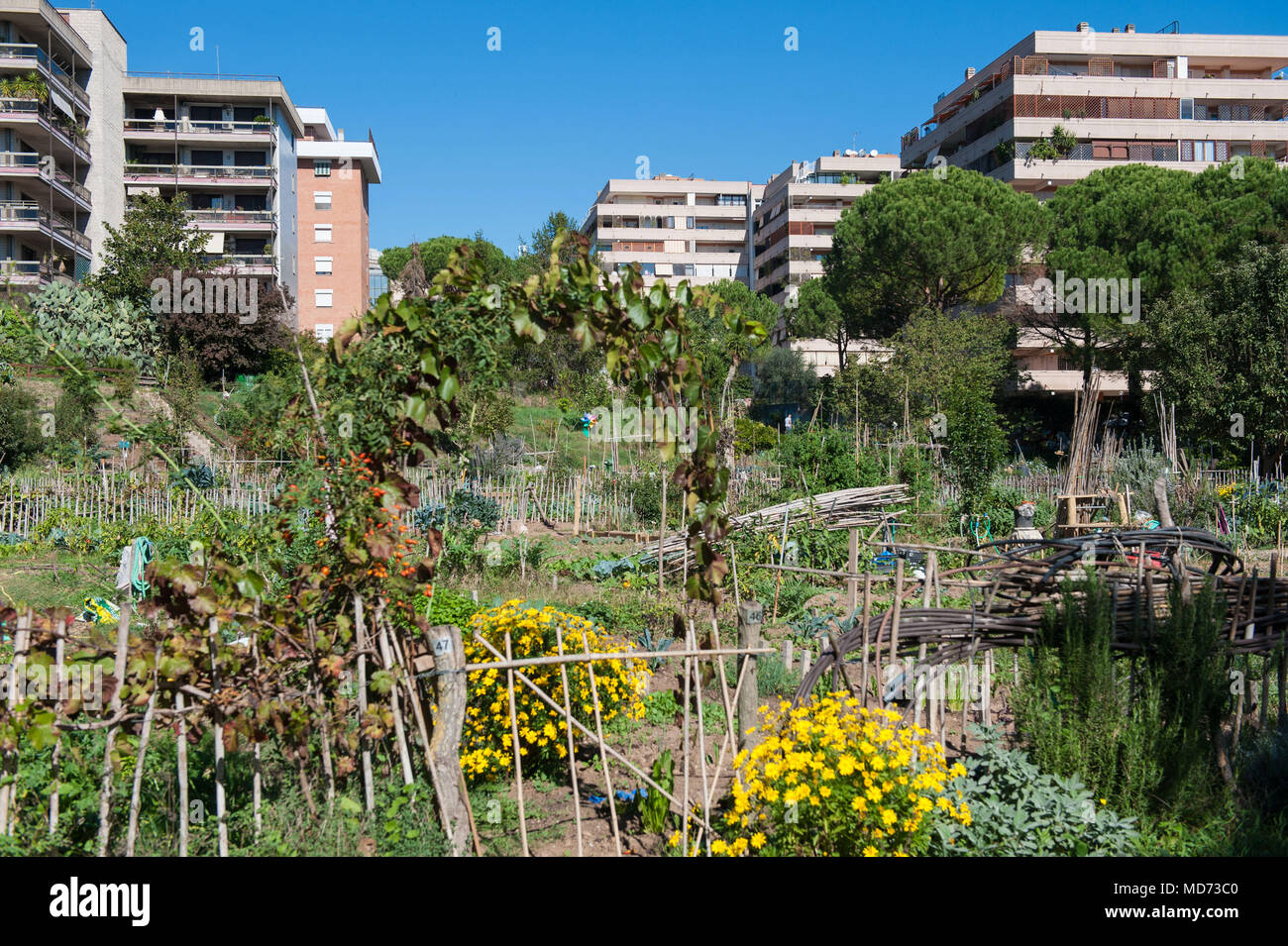 Rom. Urban Garden Tre Fontane. Italien. Stockfoto