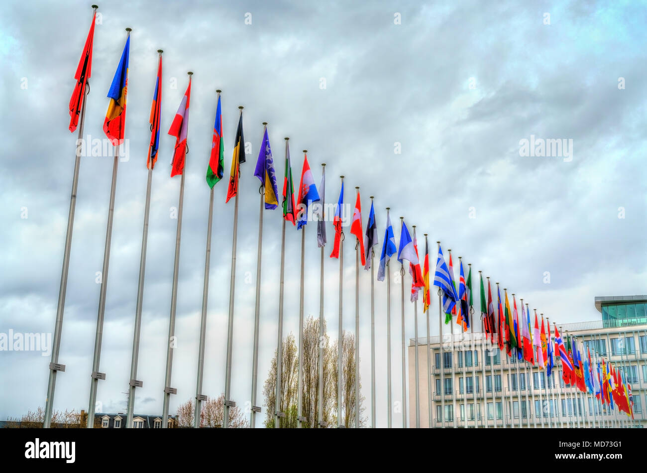 Flaggen der Mitgliedstaaten des Europarats in Straßburg, Frankreich Stockfoto