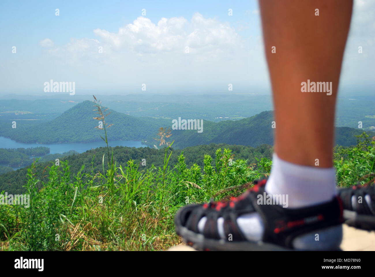 Mann an der Spitze des Berges mit dem weiten Blick auf den Strom der Blue Mountains. Konzept der Erfolg. Stockfoto