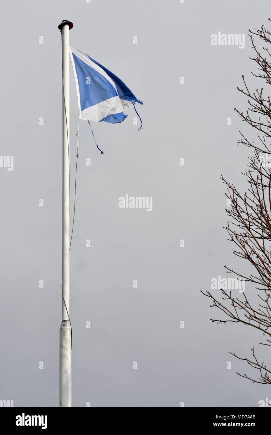 Eine halbe schottische Flagge schwenkten vor Kip Marina in Inverkip Stockfoto