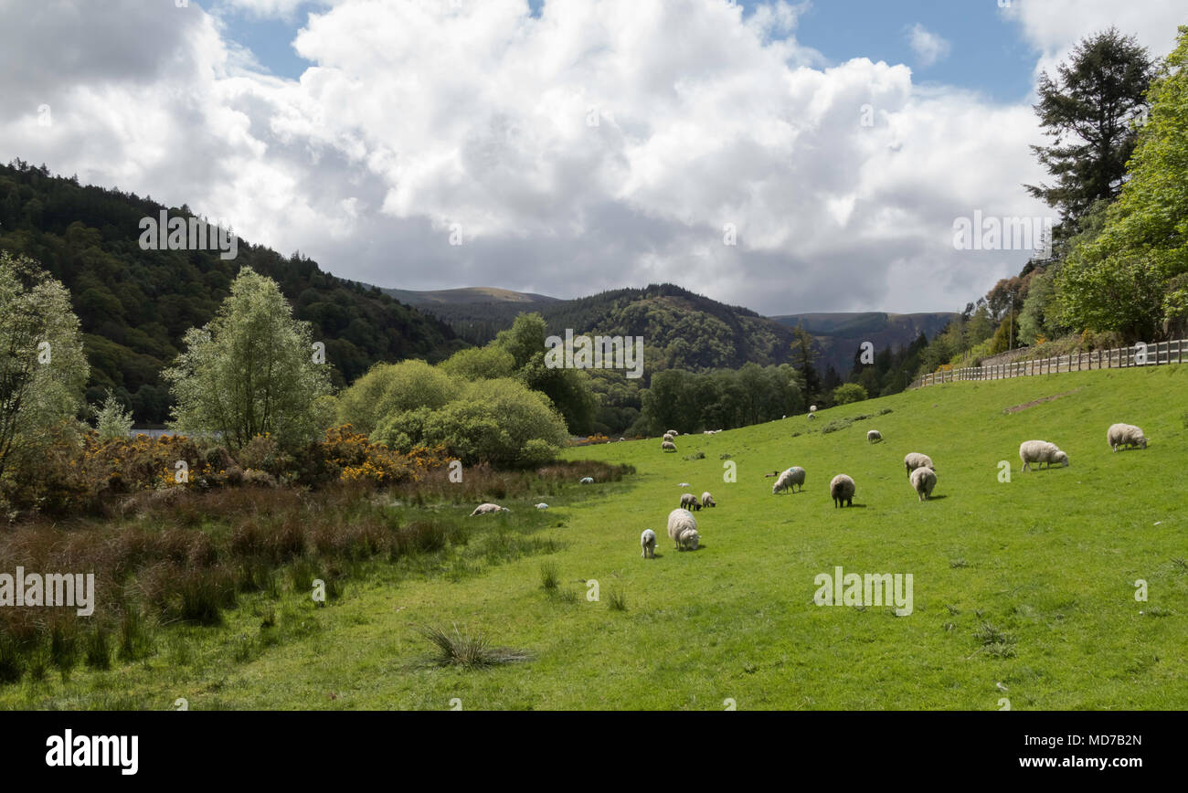 Wunderschöne Landschaft Landschaft, Glendalough, Wicklow, Irland Stockfoto