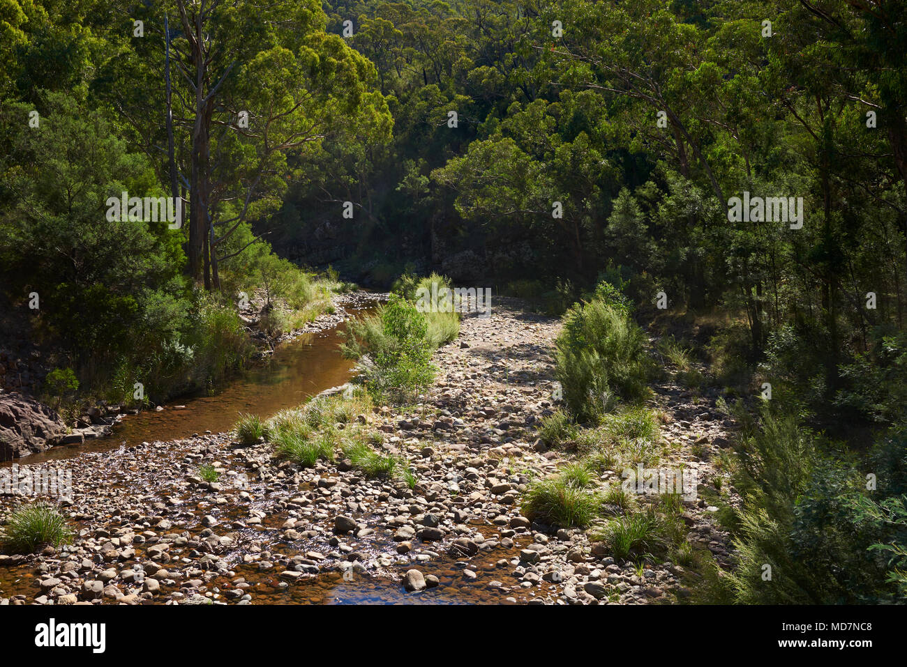 Wellington Fluss kaum fließt nach dem Sommer in der Viktorianischen High Country. Stockfoto