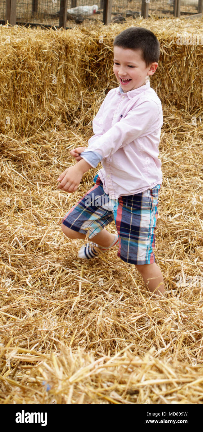 Junge Spaß im Heu Farm Stockfoto