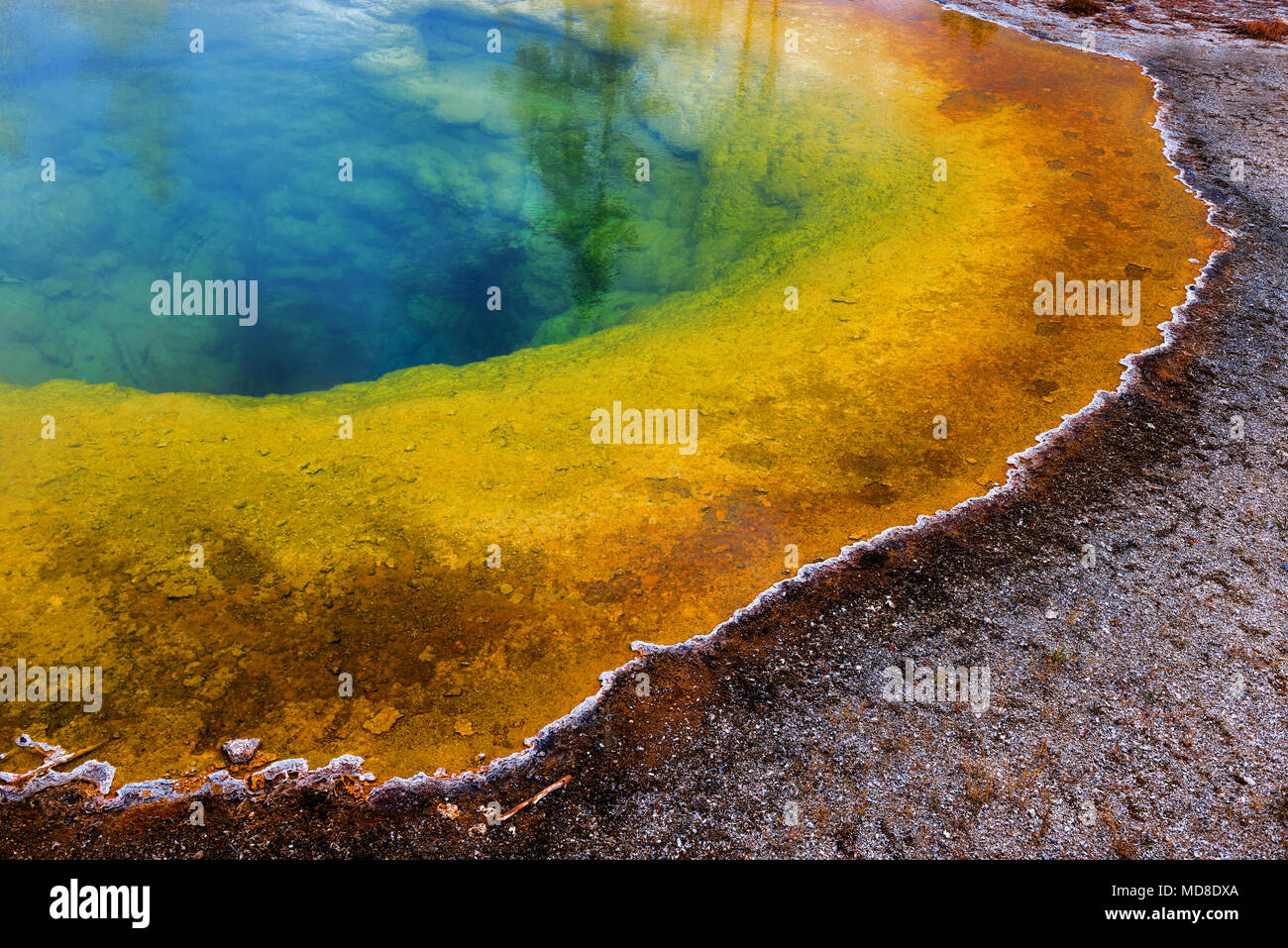 Die Regenbogenfarben der Morning Glory Pool Hot Spring in der Upper Geyser Basin in Yellowstone National Park, Wyoming, USA. Stockfoto