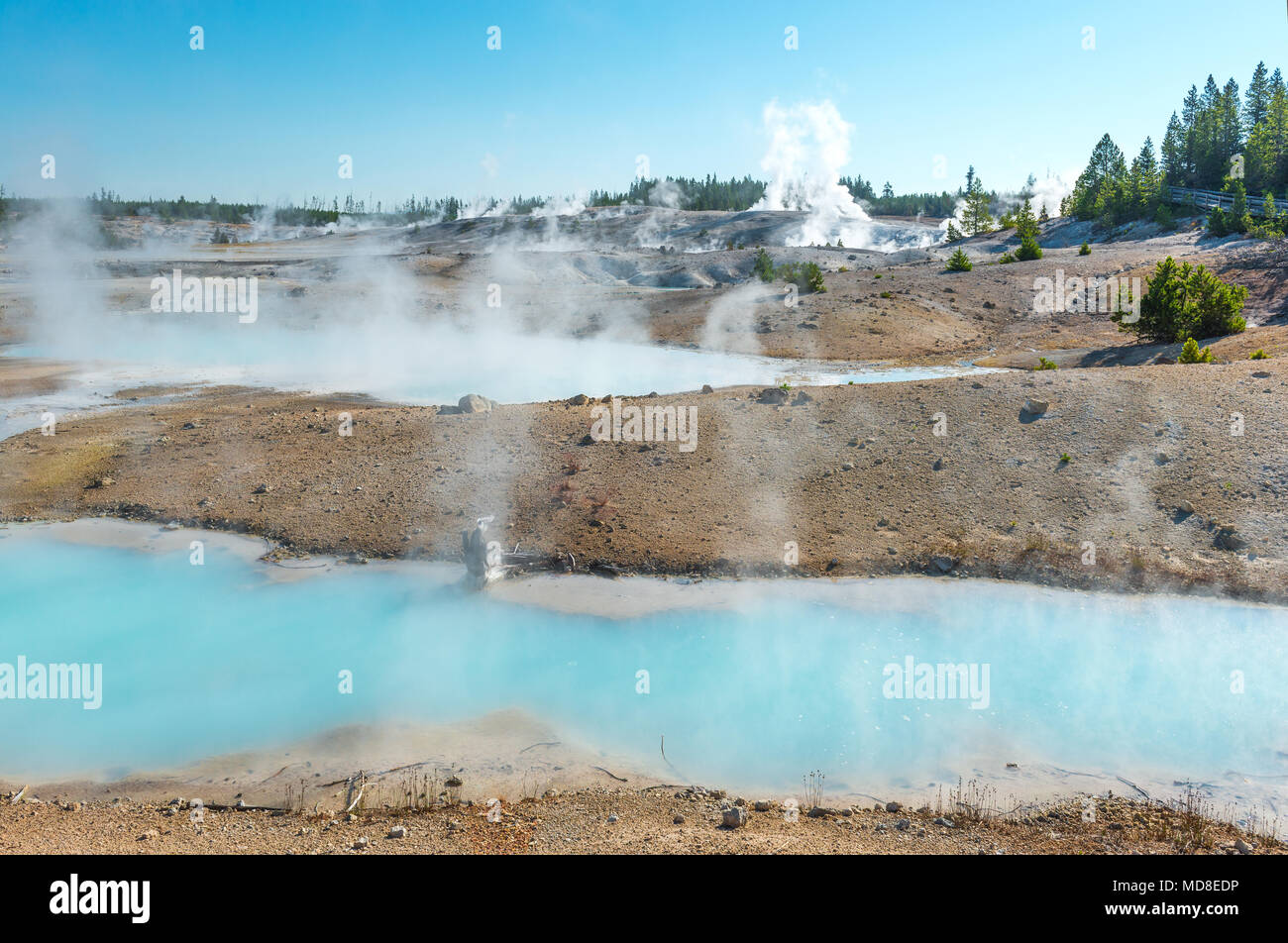 Die Norris Geyser Basin nach Sonnenaufgang mit Fumarolen und heißen Quellen im Yellowstone National Park, Wyoming, USA. Stockfoto