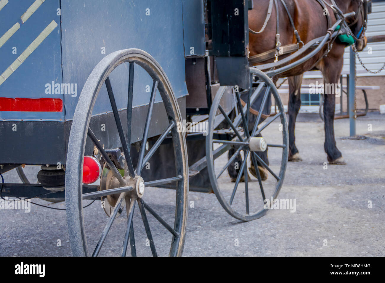 In der Nähe der Rückseite Blick auf Rad der Amish Buggy mit einem Beine Pferd in einer Farm geparkt Stockfoto