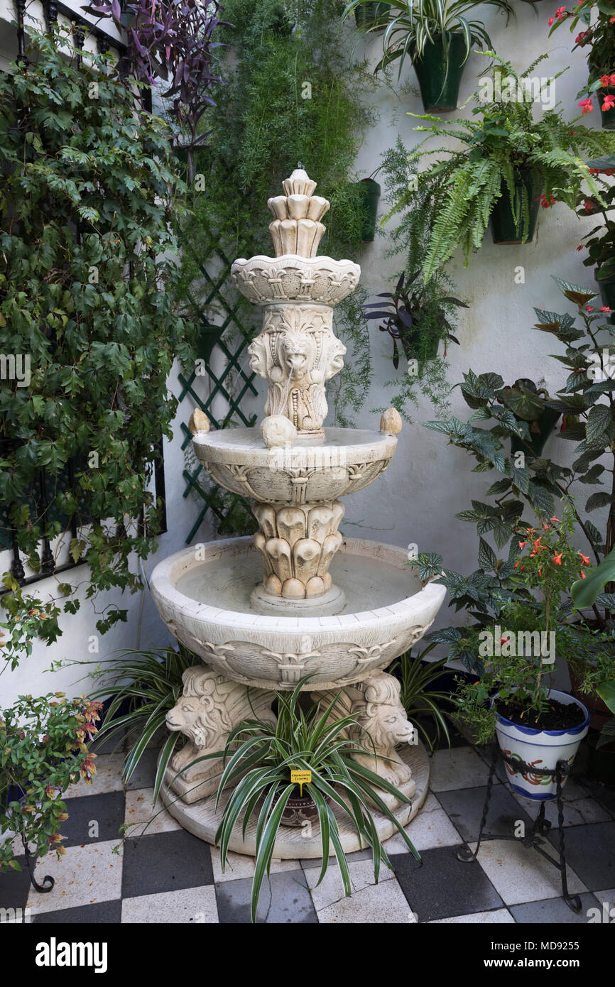Brunnen in einem Werk gefüllt Terrasse beim Fest der Innenhöfe, Cordoba, Andalusien, Spanien, Europa öffnen Stockfoto