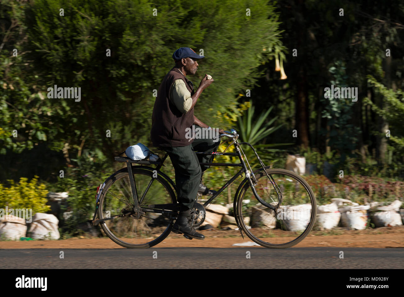 Ein Radfahrer fährt ein traditioneller Roadster-Stil Fahrrad, allgemein  eine "Black Mamba" im Osten Afrikas bezeichnet. Obwohl sie noch ein  alltäglicher Anblick, sie Stockfotografie - Alamy