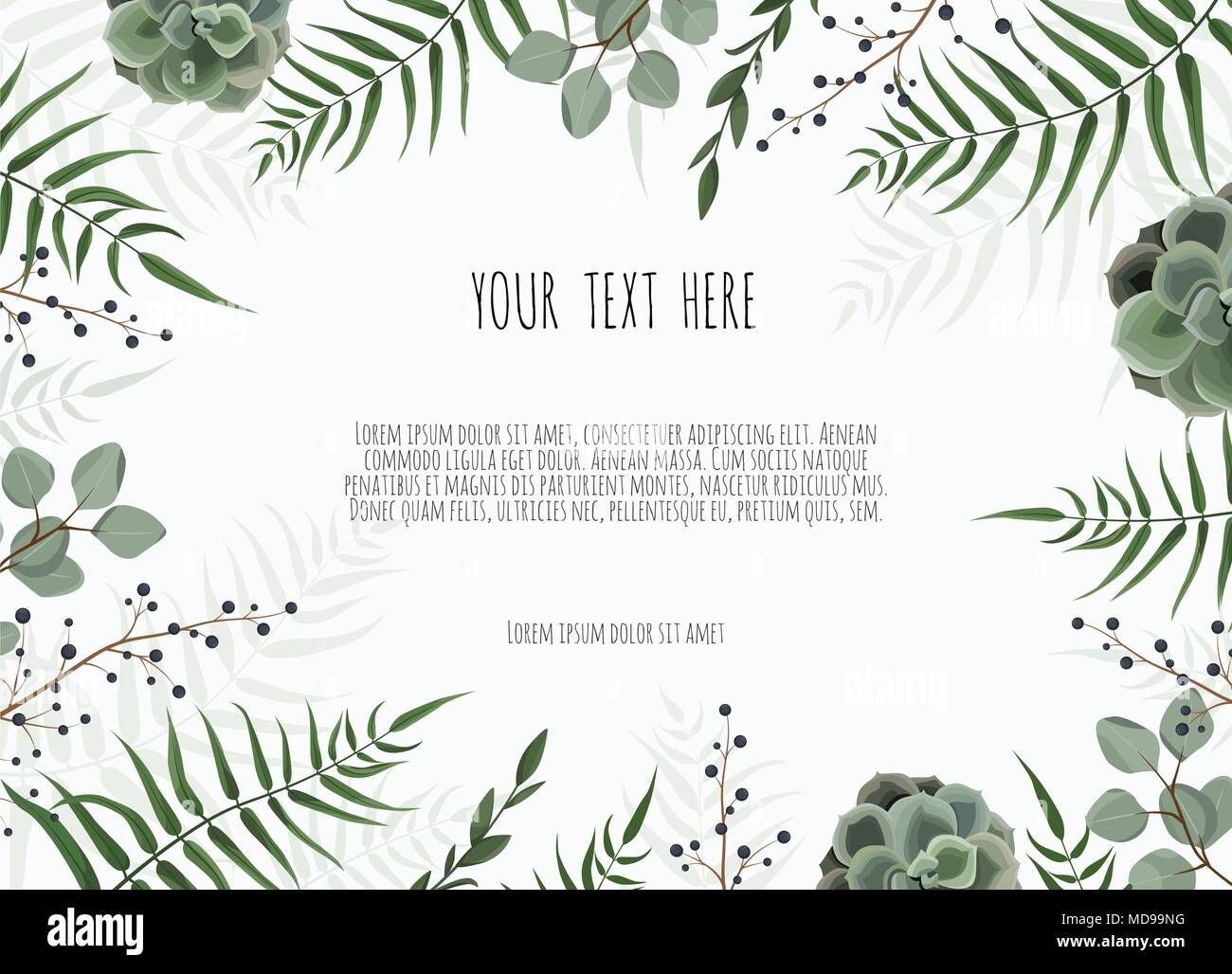 Hintergrund Mit Grunen Blattern Eukalyptus Zweige Dekorativen Kranz Rahmen Muster Stock Vektorgrafik Alamy