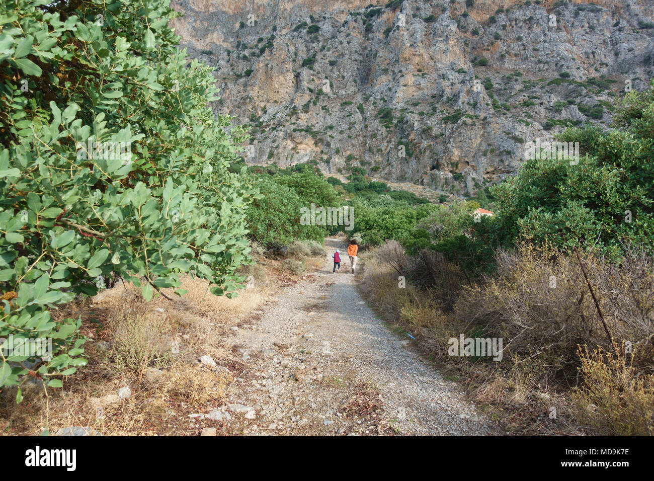 Kinder gehen auf die unbefestigte Straße inmitten von Feld, Kreta, Griechenland Stockfoto