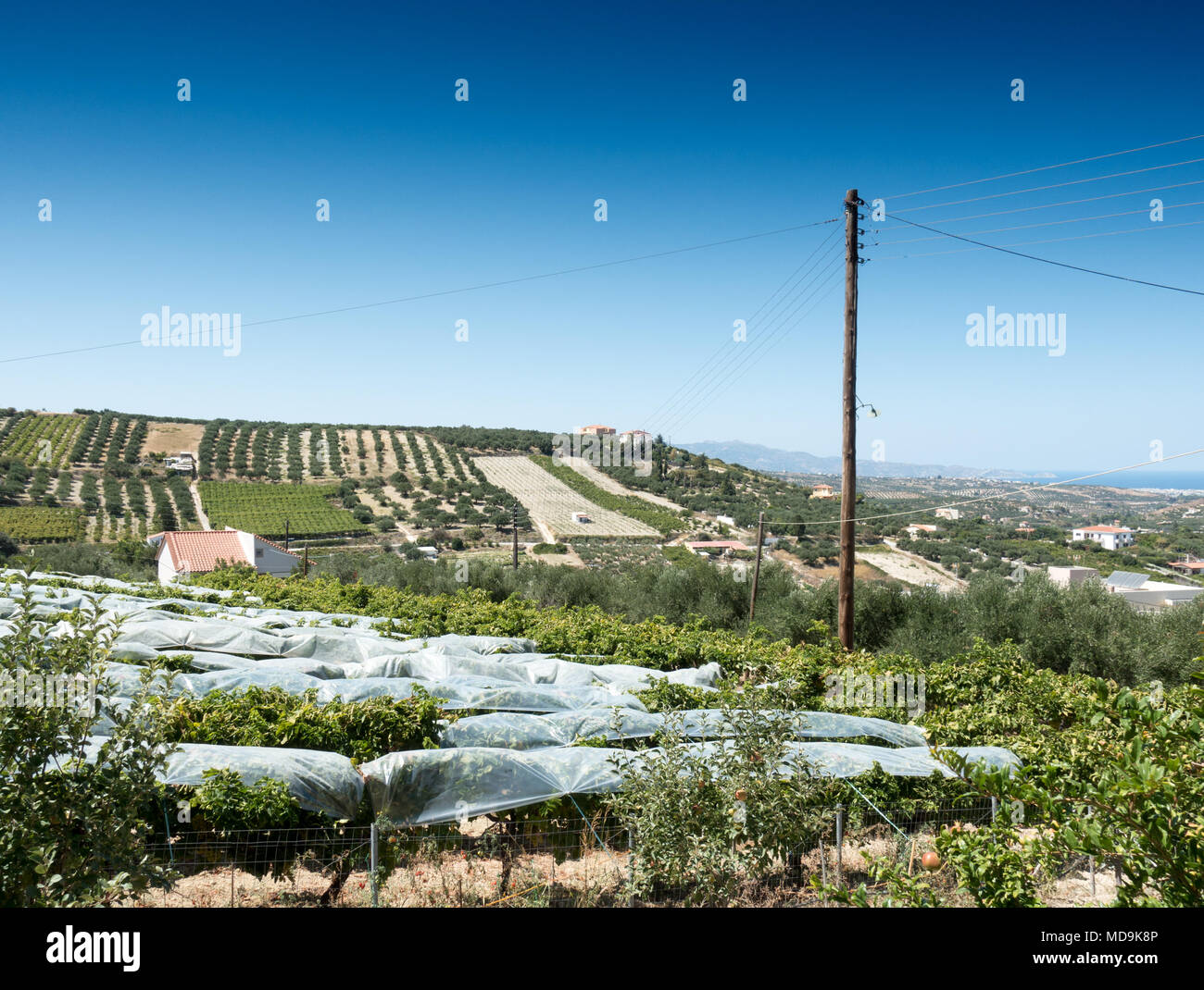 Malerischer Blick auf landwirtschaftlichen Feld und power line gegen Himmel, Kreta, Griechenland Stockfoto