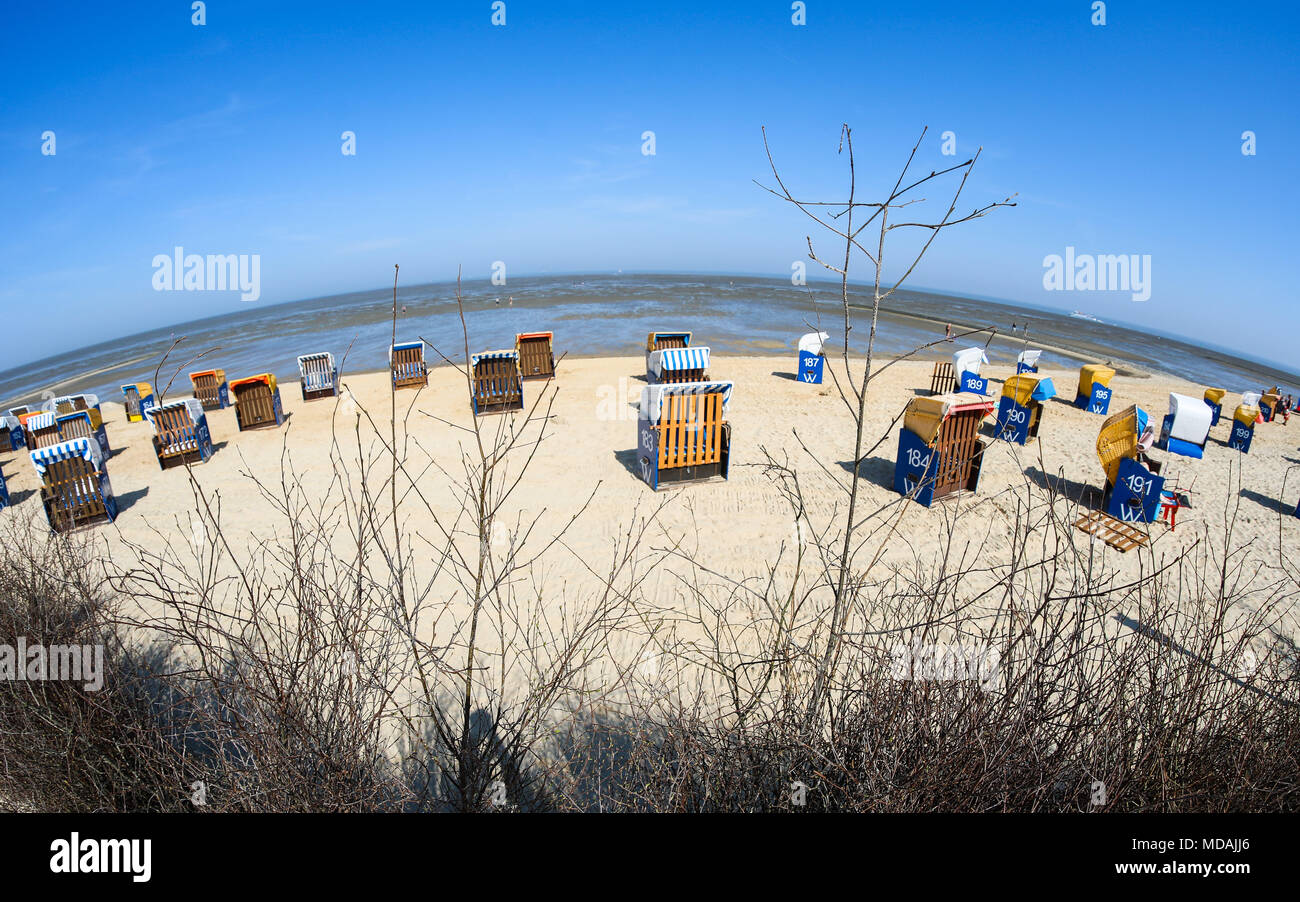 – Dein Weg zum Erfolg und zur Freude!