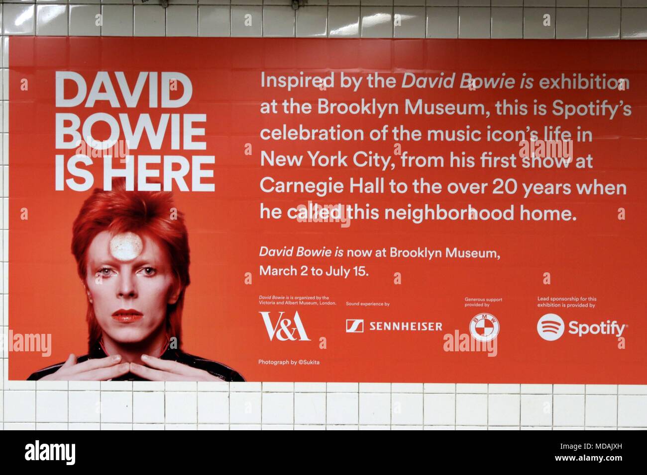 Download Rocker zitate For Free