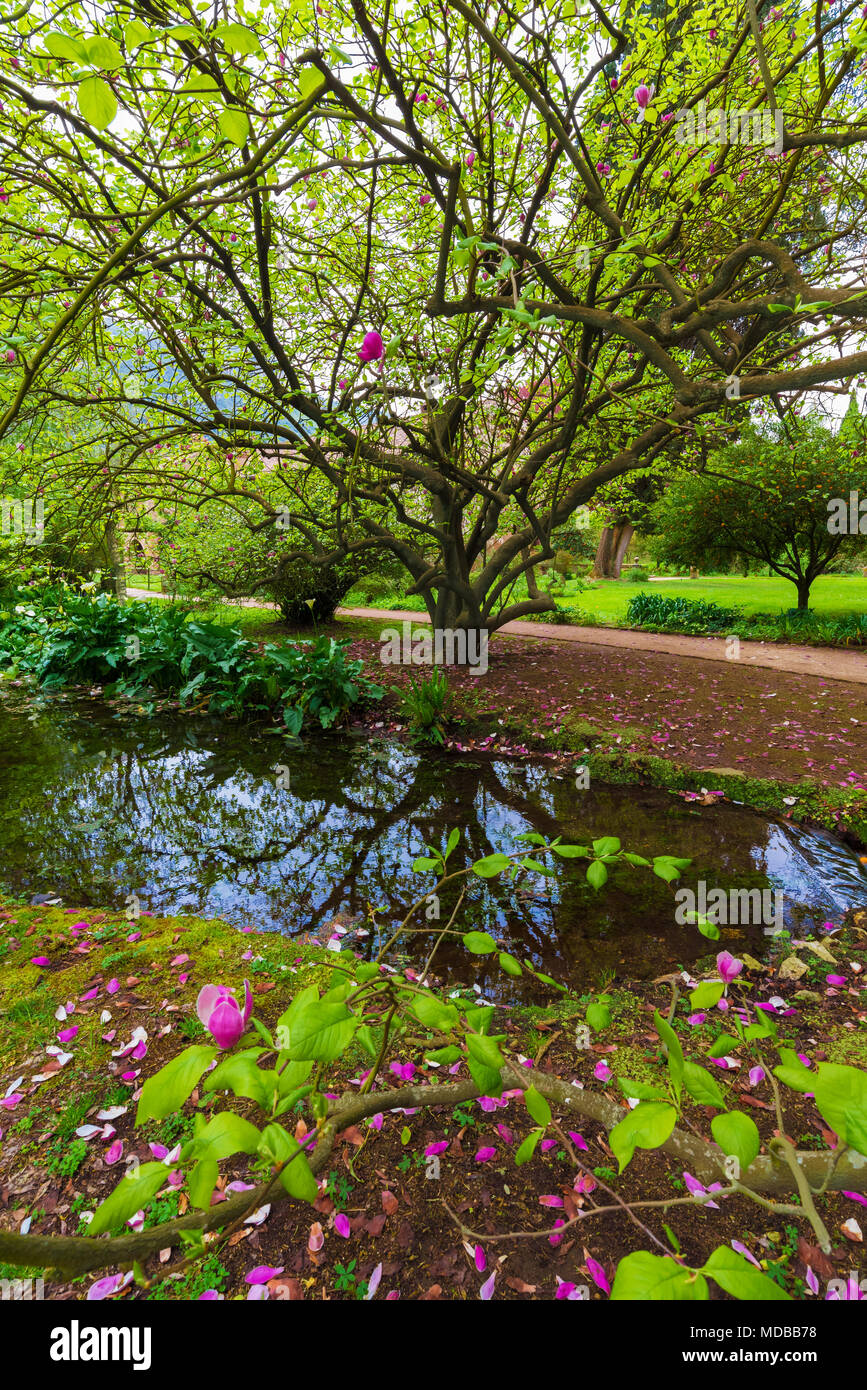 Garten von Ninfa, Italien - ein Naturdenkmal mit mittelalterlichen Ruinen in Stein, Blumen Park und ein ehrfürchtiges Torrent mit wenig fallen. Provinz Latina. Stockfoto