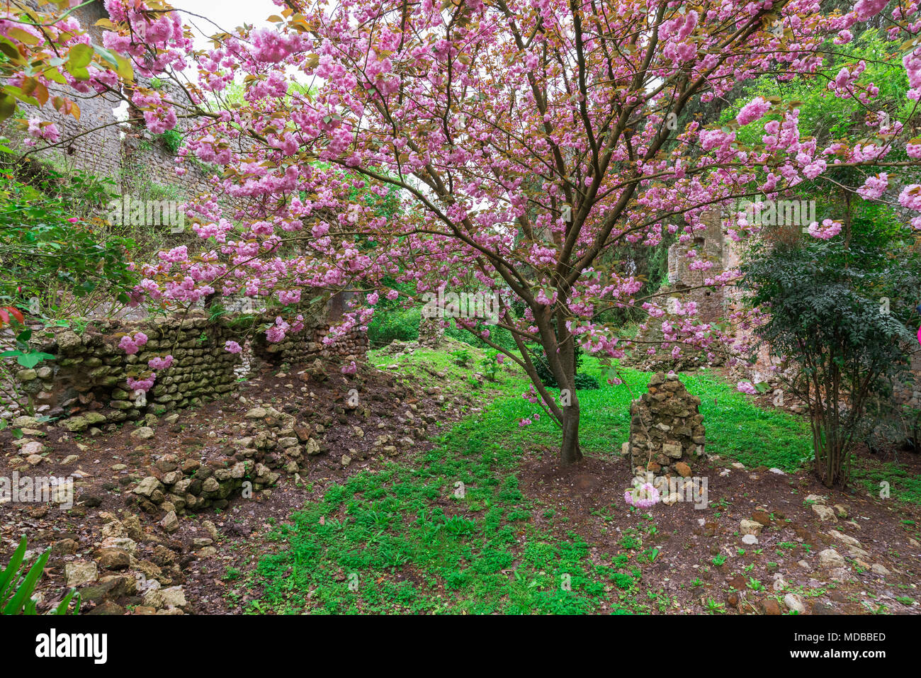Garten von Ninfa, Italien - ein Naturdenkmal mit mittelalterlichen Ruinen in Stein, Blumen Park und ein ehrfürchtiges Torrent mit wenig fallen. Provinz Latina. Stockfoto