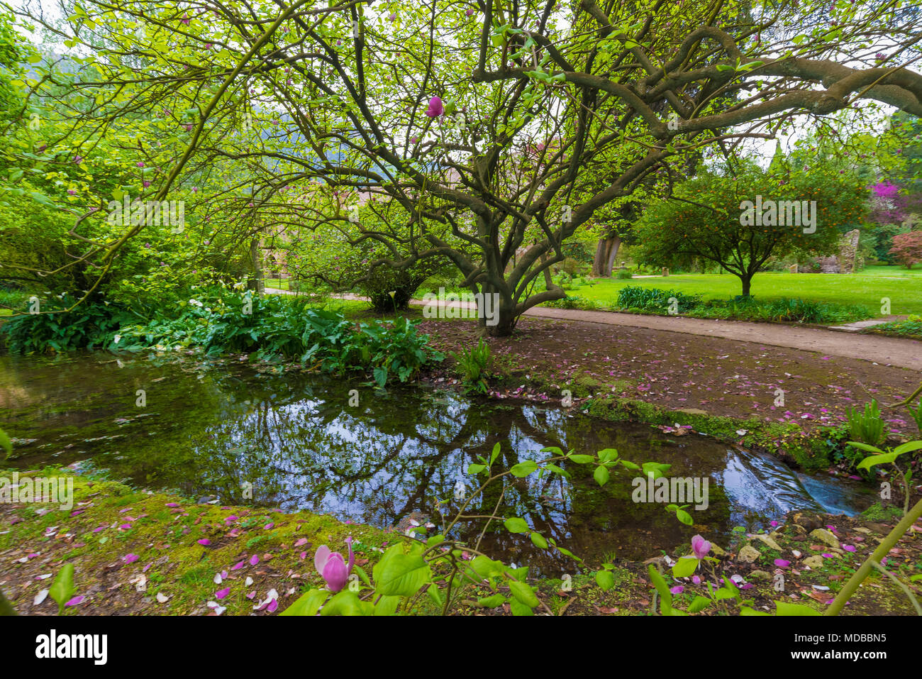Garten von Ninfa, Italien - ein Naturdenkmal mit mittelalterlichen Ruinen in Stein, Blumen Park und ein ehrfürchtiges Torrent mit wenig fallen. Provinz Latina. Stockfoto