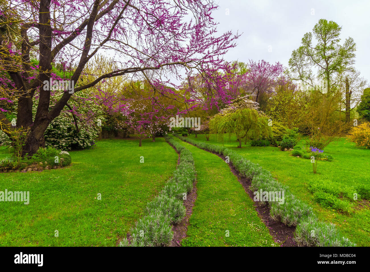 Garten von Ninfa, Italien - ein Naturdenkmal mit mittelalterlichen Ruinen in Stein, Blumen Park und ein ehrfürchtiges Torrent mit wenig fallen. Provinz Latina. Stockfoto
